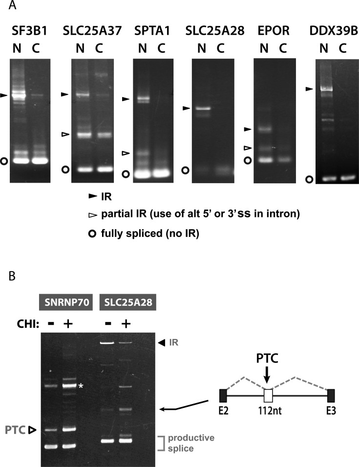 Figure 6.