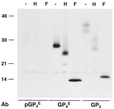 FIG. 10.