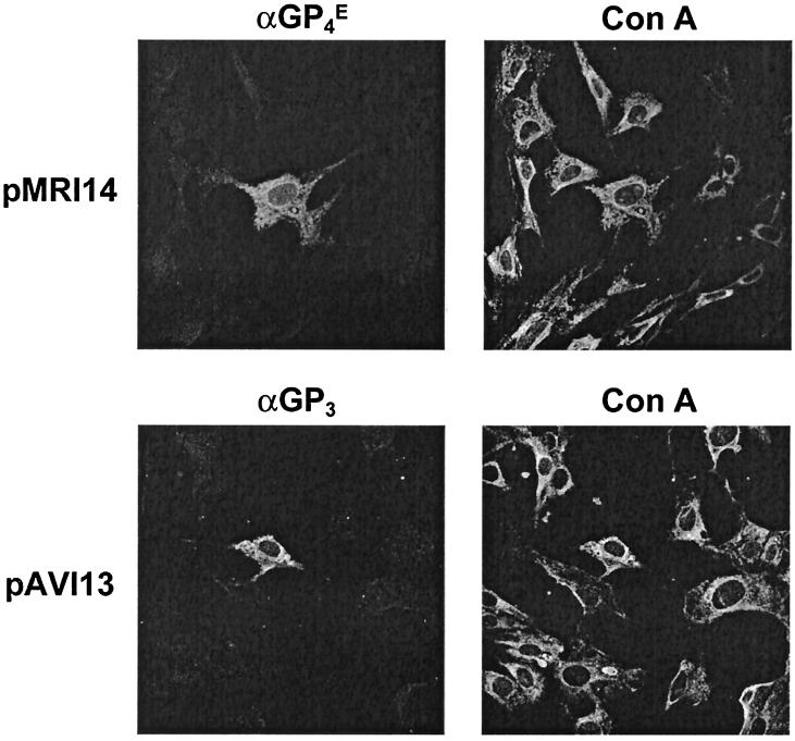 FIG. 8.