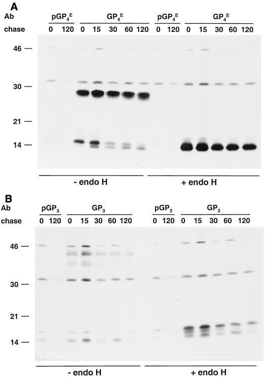 FIG. 9.