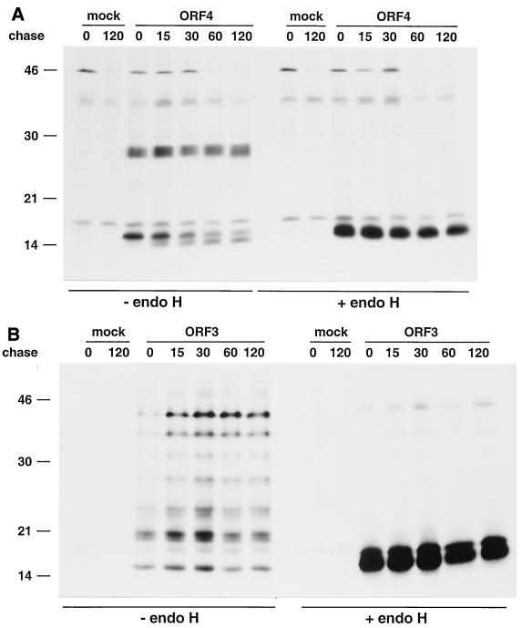 FIG. 7.