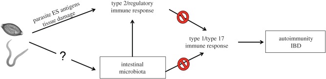 Figure 1.