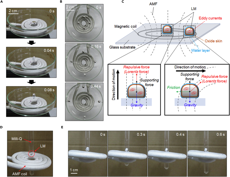 Figure 2