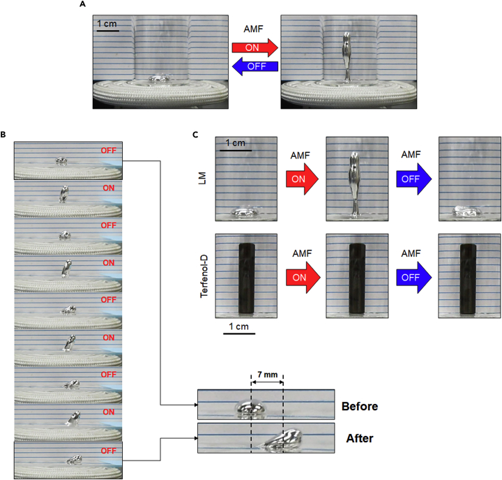 Figure 1