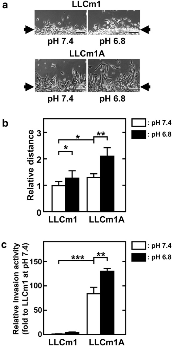 Fig. 6