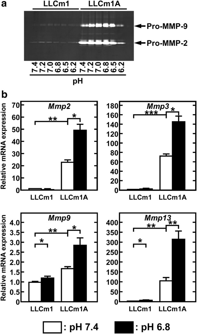Fig. 4