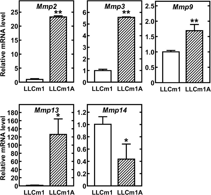 Fig. 2