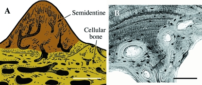 Fig. 9