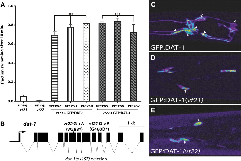 Figure 2 