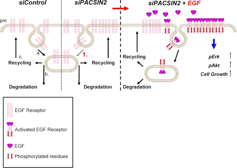 FIGURE 10.