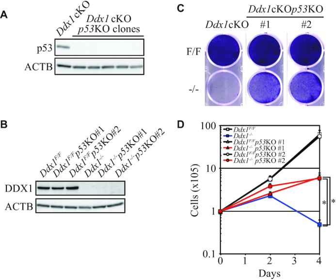 Figure 5.