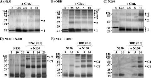 FIG. 3.