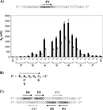 FIG. 7.