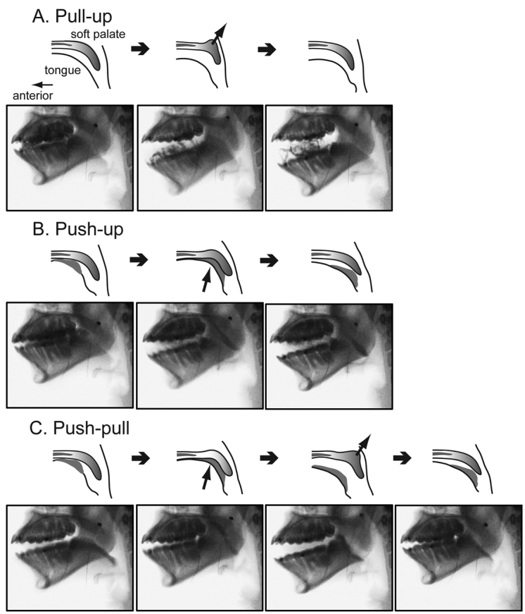 Figure 2.