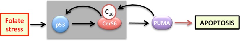 FIGURE 10.