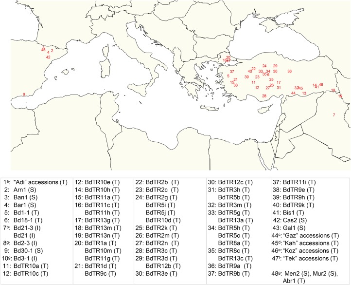 Figure 2.