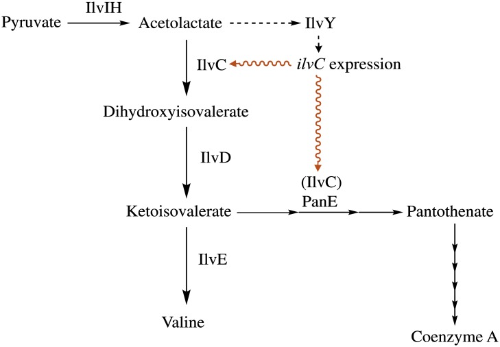 Fig 8