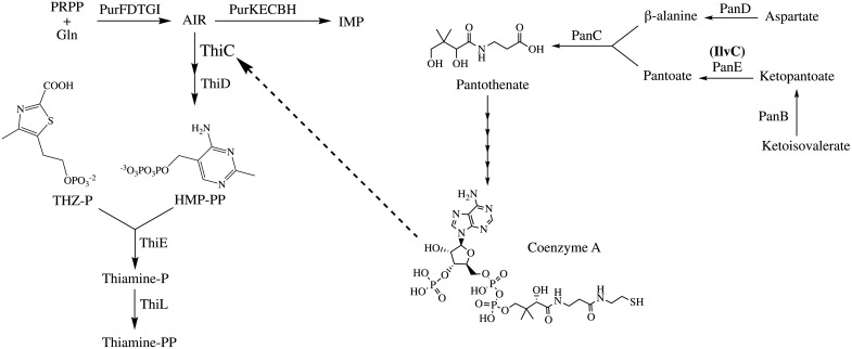 Fig 1