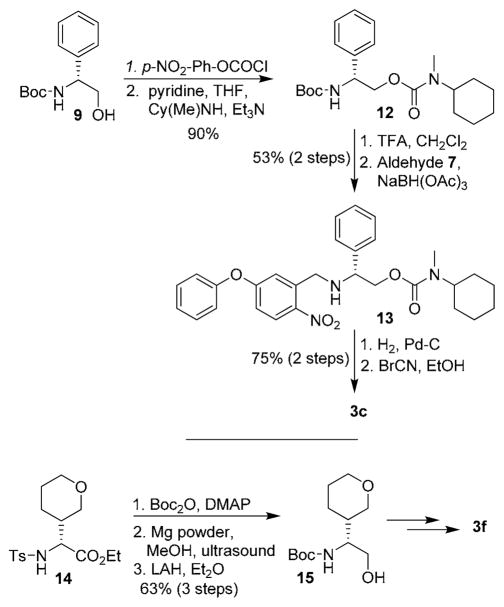 Scheme 2