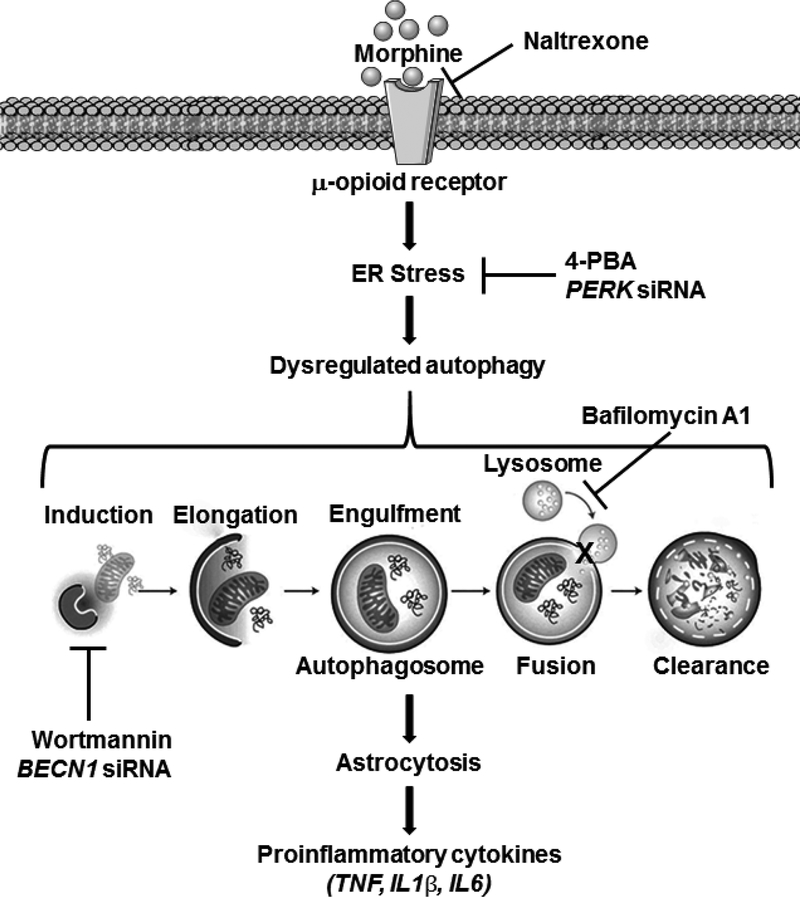 Figure 10.