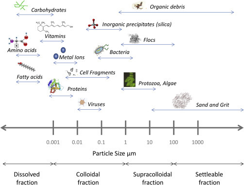 Figure 7