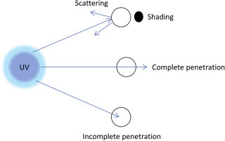 Figure 15