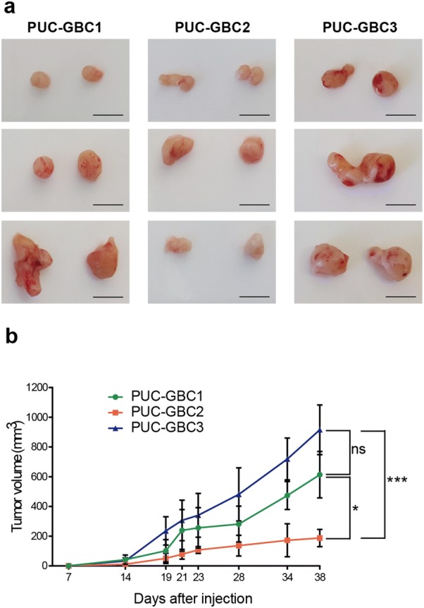 Fig. 8