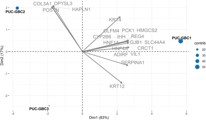 Fig. 4