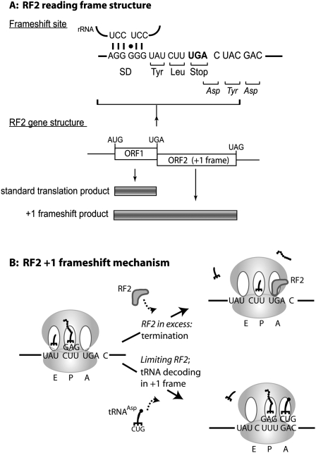 FIGURE 1.