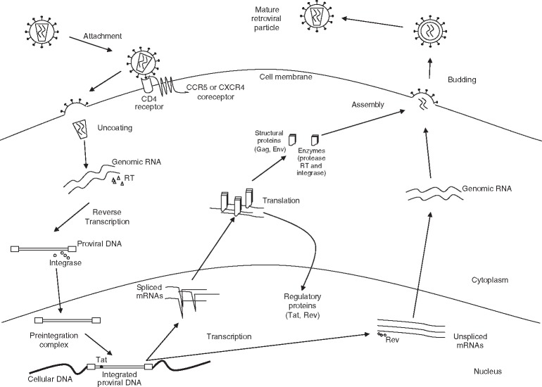 Fig. 17.1