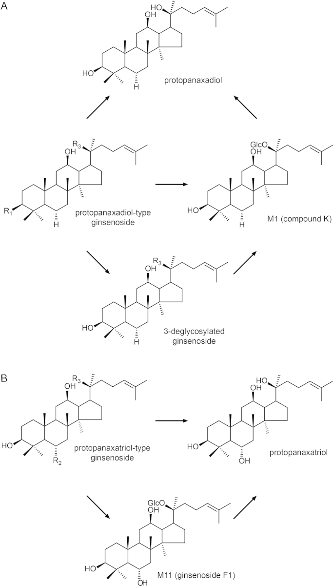 Fig. 4