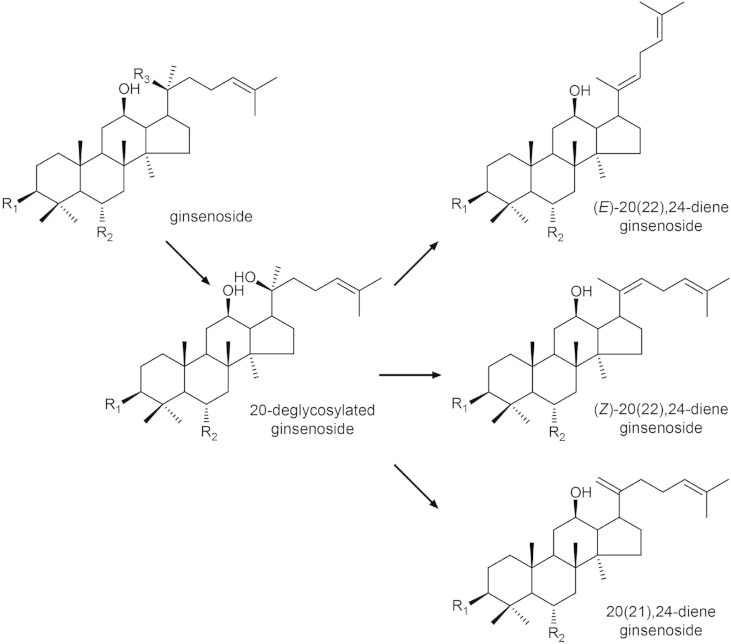 Fig. 3