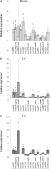 FIG 2