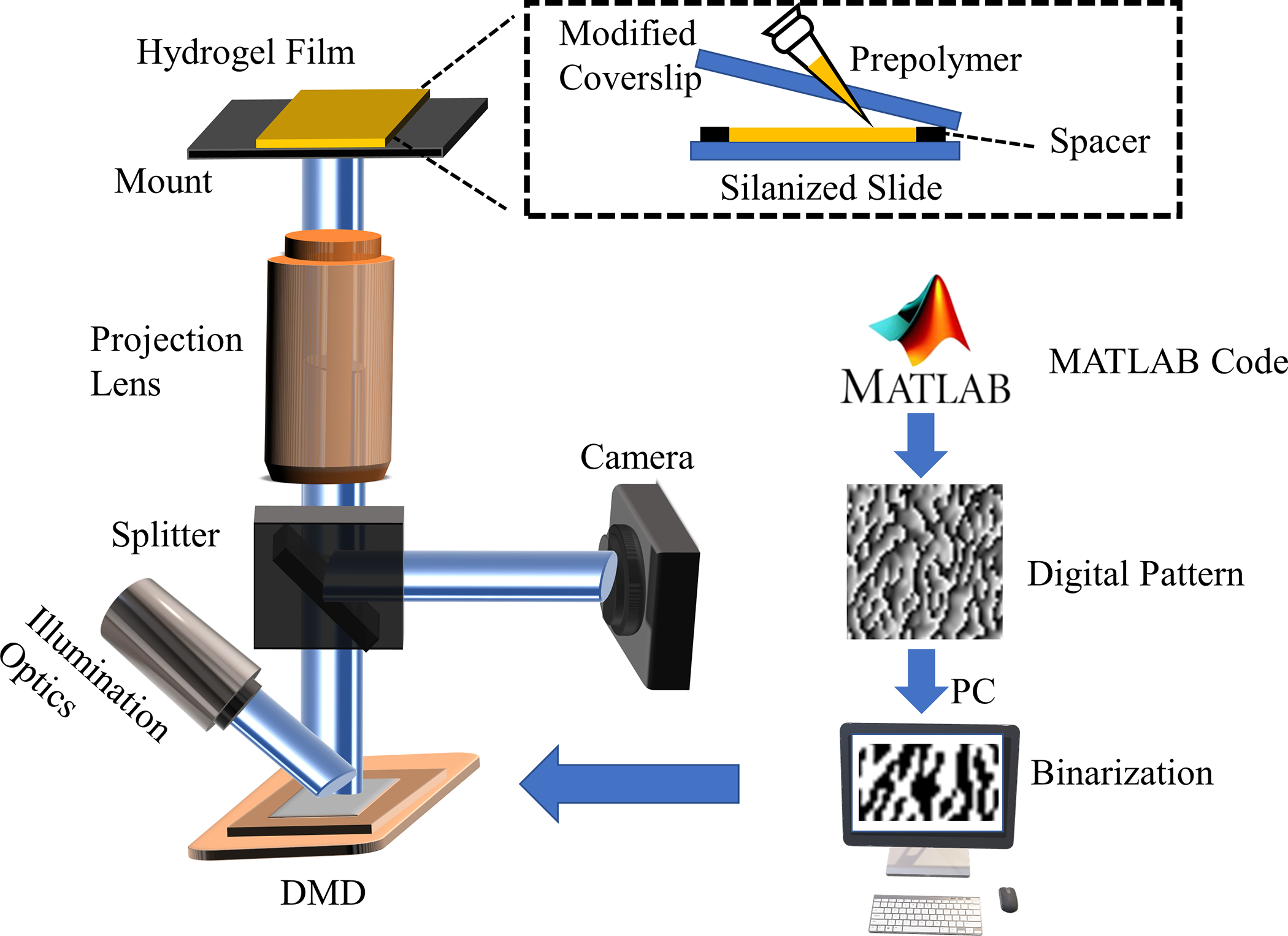 Figure 1.