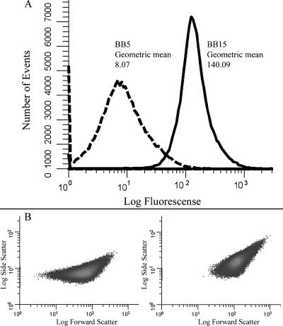 FIG. 3.