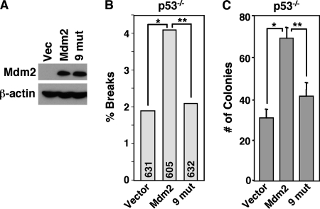 FIG. 7.