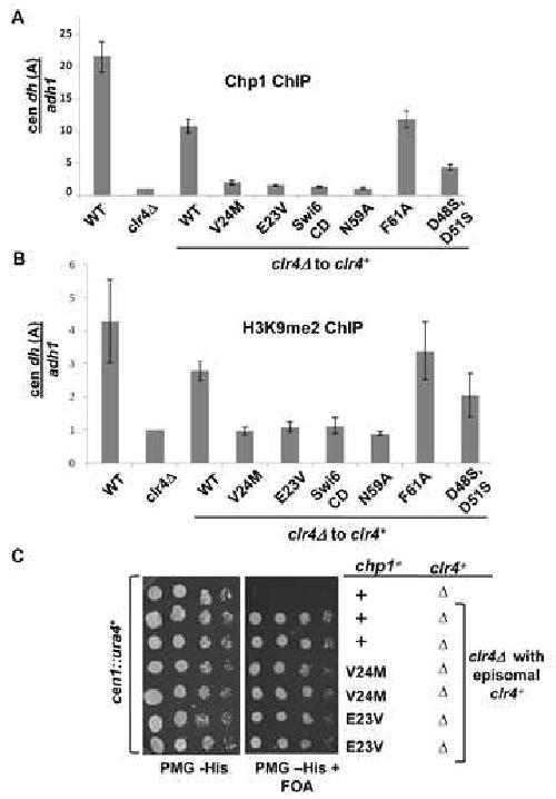 Figure 6