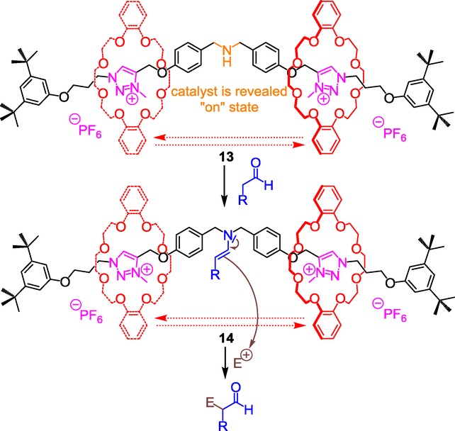 Scheme 6