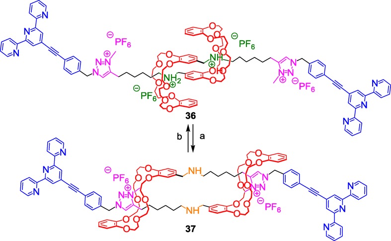 Scheme 15