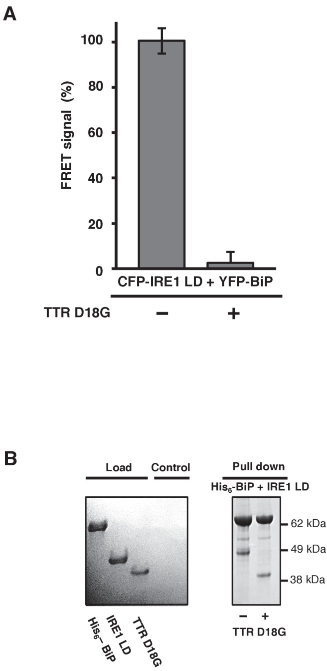 Figure 4—figure supplement 1.