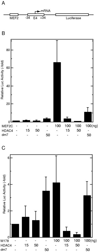 FIG. 7