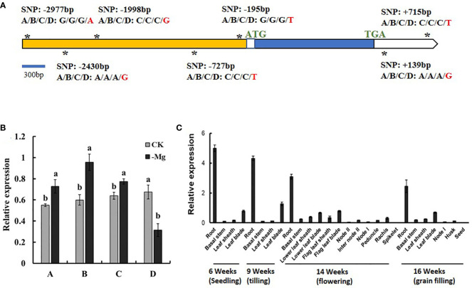 Figure 6