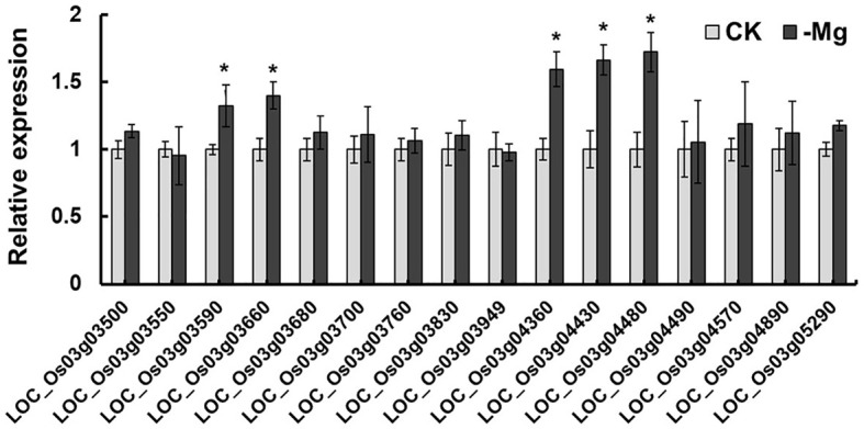 Figure 4