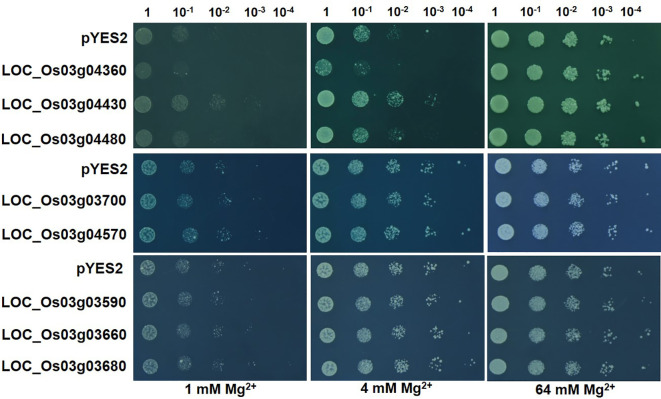 Figure 5