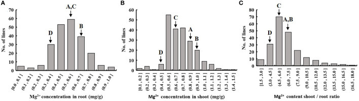 Figure 2