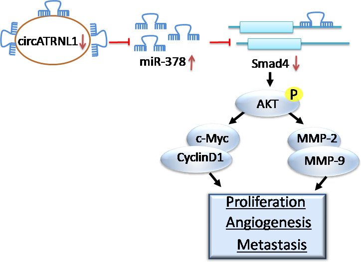 Fig. 8