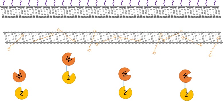 Fig. 3