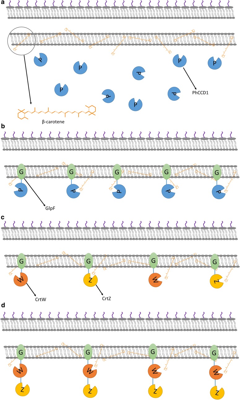 Fig. 2