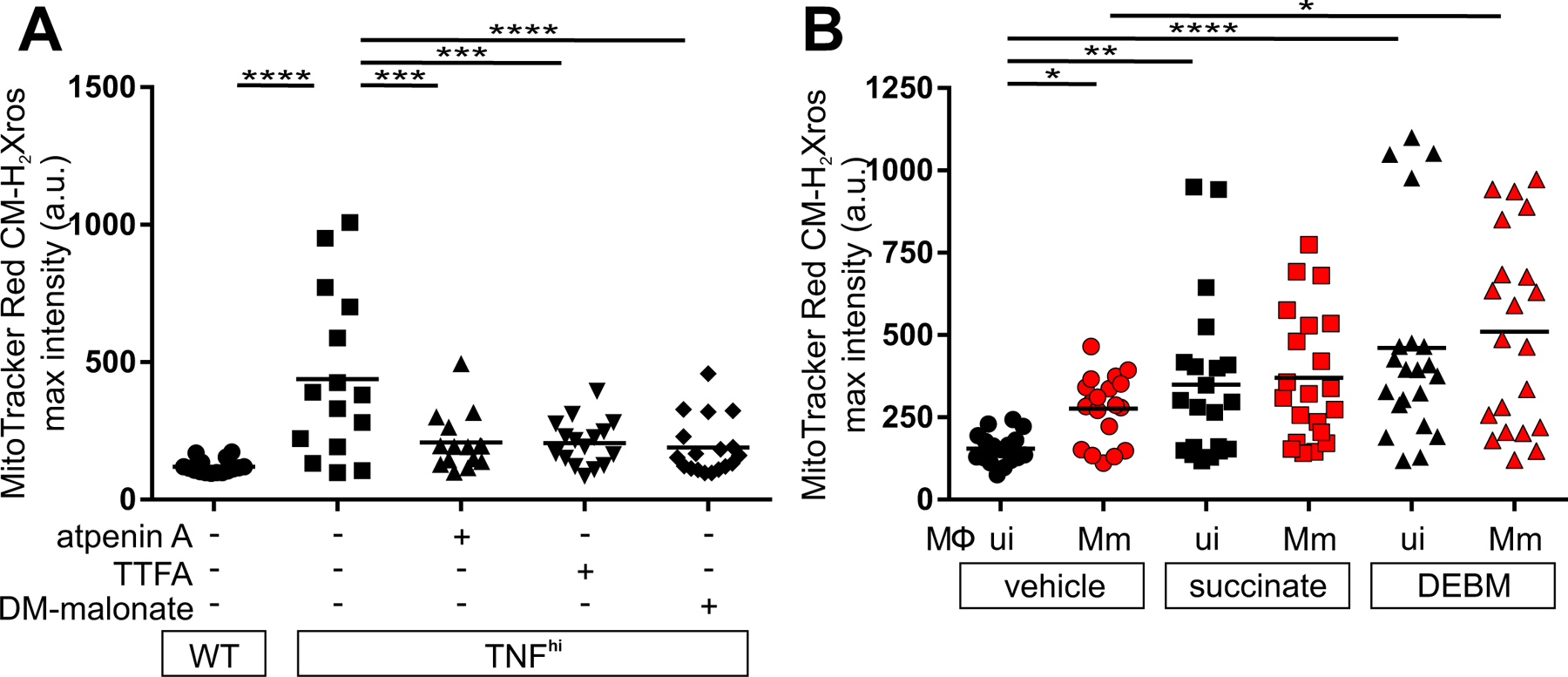 Figure 3: