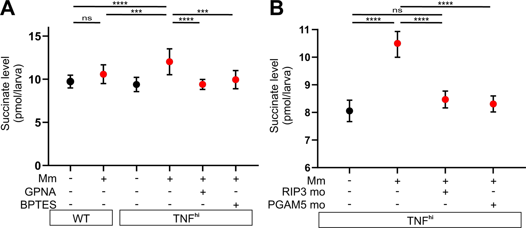 Figure 5: